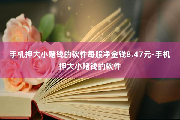 手机押大小赌钱的软件每股净金钱8.47元-手机押大小赌钱的软件