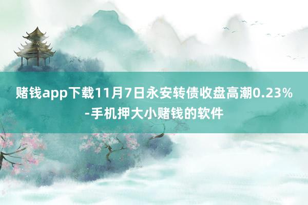 赌钱app下载11月7日永安转债收盘高潮0.23%-手机押大小赌钱的软件