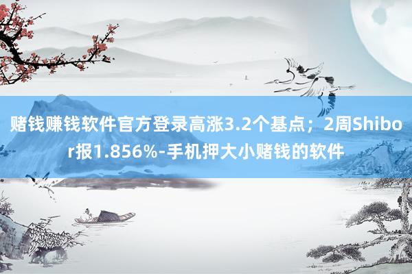 赌钱赚钱软件官方登录高涨3.2个基点；2周Shibor报1.856%-手机押大小赌钱的软件