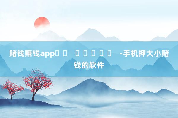 赌钱赚钱app		  					  -手机押大小赌钱的软件