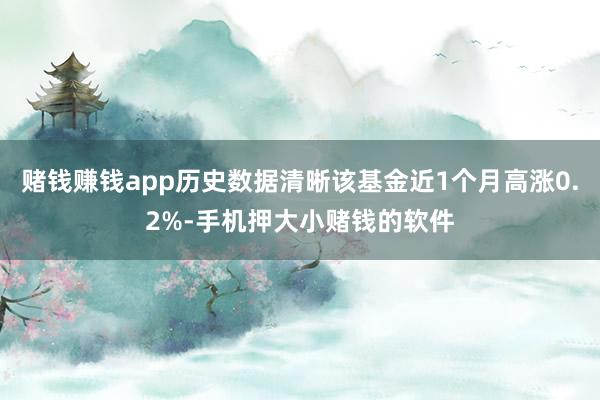 赌钱赚钱app历史数据清晰该基金近1个月高涨0.2%-手机押大小赌钱的软件