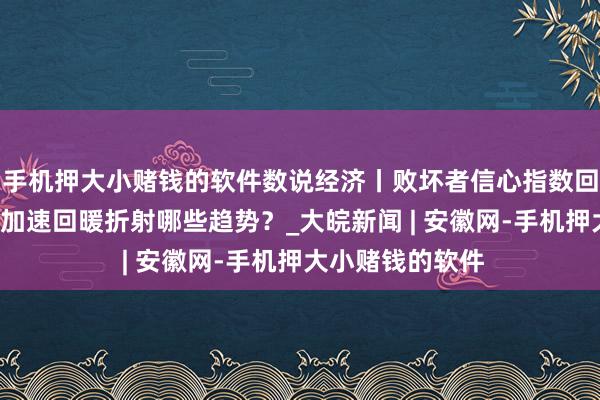 手机押大小赌钱的软件数说经济丨败坏者信心指数回升，“慢变量”加速回暖折射哪些趋势？_大皖新闻 | 安徽网-手机押大小赌钱的软件