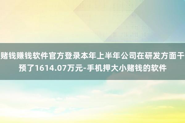 赌钱赚钱软件官方登录本年上半年公司在研发方面干预了1614.07万元-手机押大小赌钱的软件