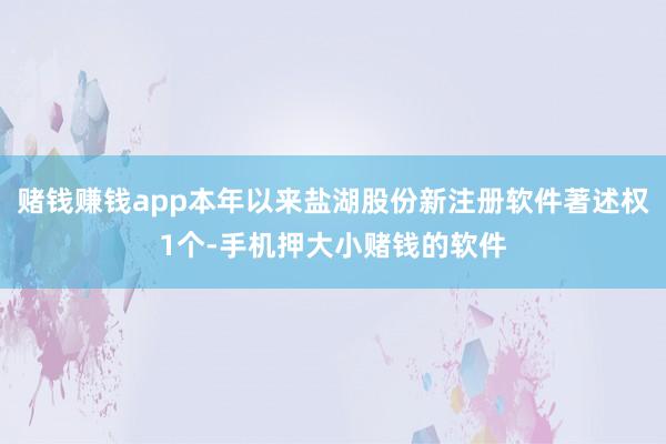 赌钱赚钱app本年以来盐湖股份新注册软件著述权1个-手机押大小赌钱的软件