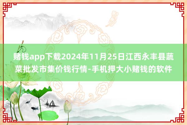 赌钱app下载2024年11月25日江西永丰县蔬菜批发市集价钱行情-手机押大小赌钱的软件