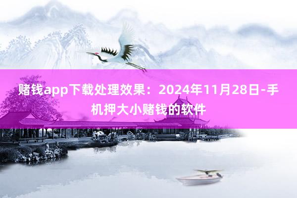 赌钱app下载处理效果：2024年11月28日-手机押大小赌钱的软件