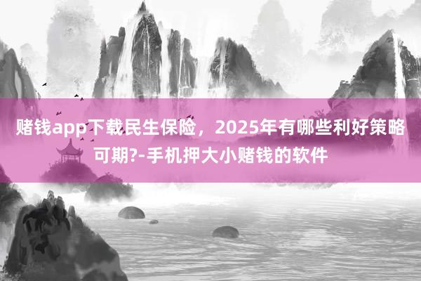 赌钱app下载民生保险，2025年有哪些利好策略可期?-手机押大小赌钱的软件