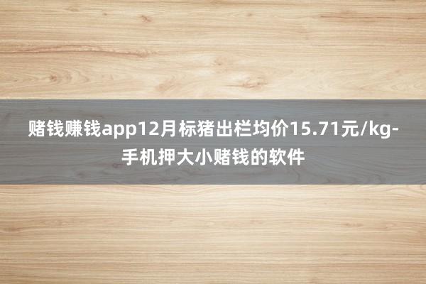 赌钱赚钱app12月标猪出栏均价15.71元/kg-手机押大小赌钱的软件