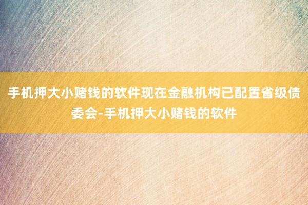 手机押大小赌钱的软件现在金融机构已配置省级债委会-手机押大小赌钱的软件