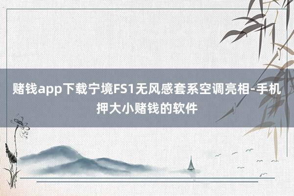 赌钱app下载宁境FS1无风感套系空调亮相-手机押大小赌钱的软件